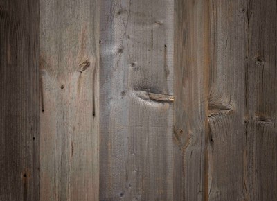 Facade wall cladding Barnwood Berlin