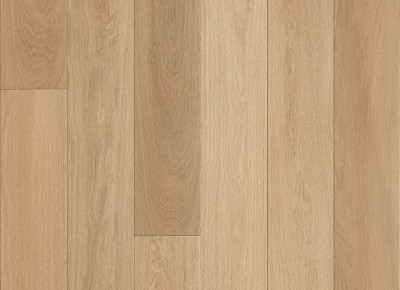 Belgiqa Domestic Louis Prime