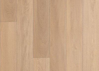 Belgiqa Domestic Laurette Prime