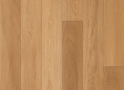 Belgiqa Domestic Estelle Prime