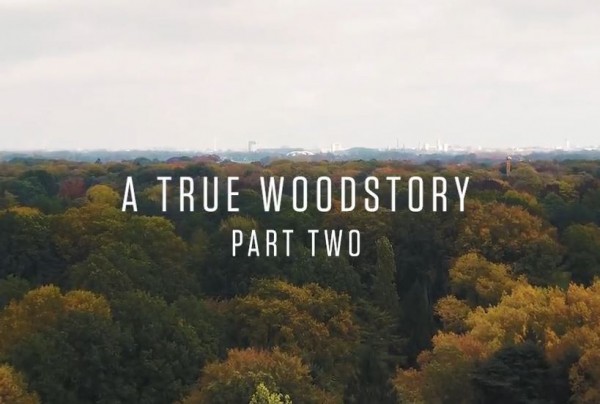 True Woodstory Part 2