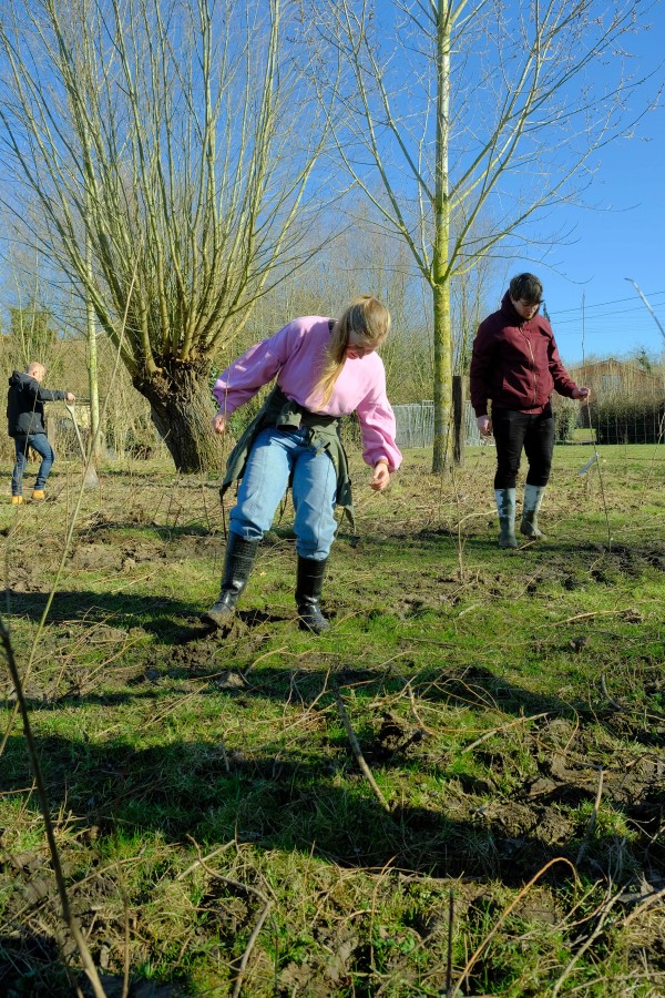 WXX_Plant een bos_2022_7-min