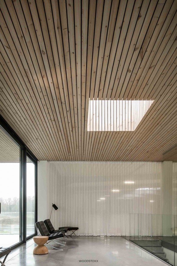 Plafond Bois de Pin