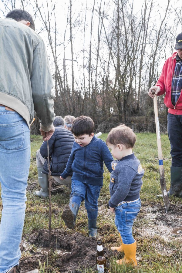 WSXX plant een bos