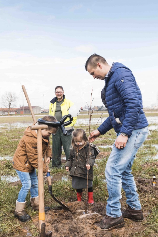 WSXX plant een bos