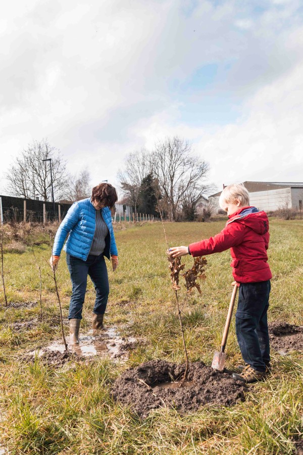 WSXX plant een bos