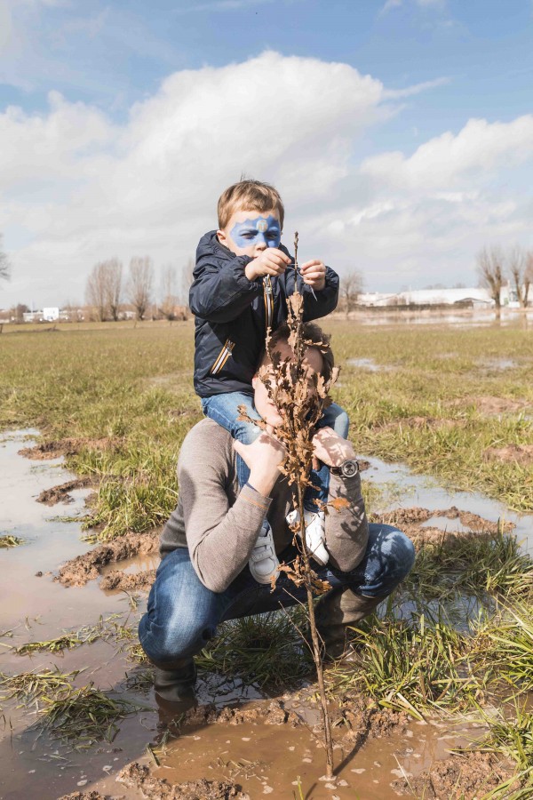 WSXX plant een bos