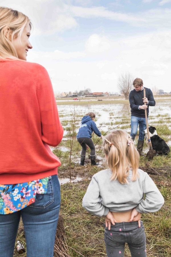 WSXX plant een bos