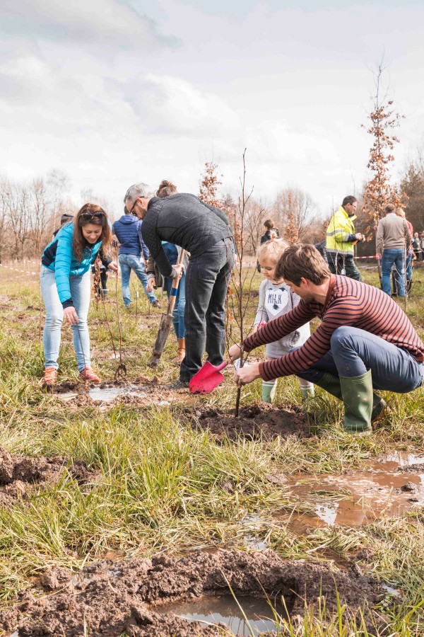 WSXX plant een bos