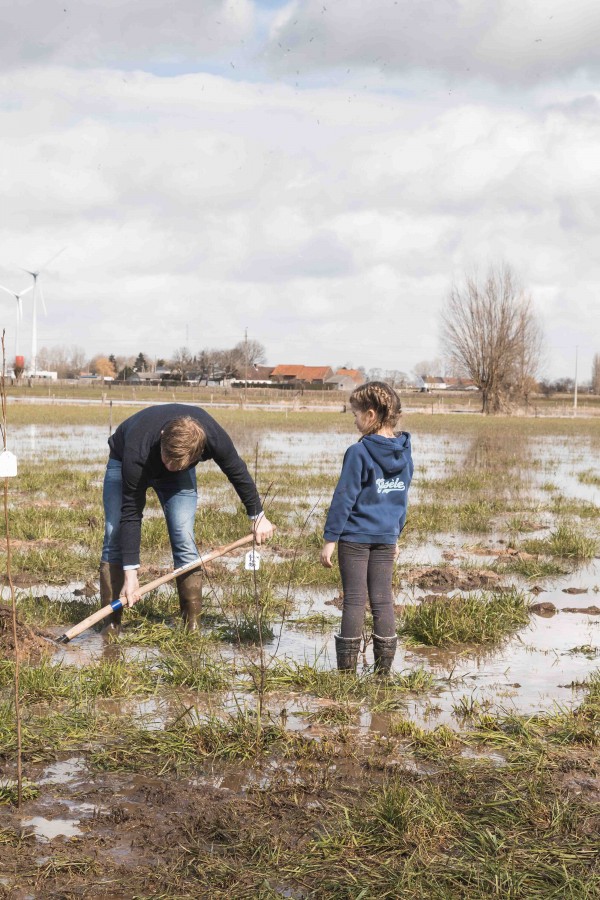 WSXX plant een bos