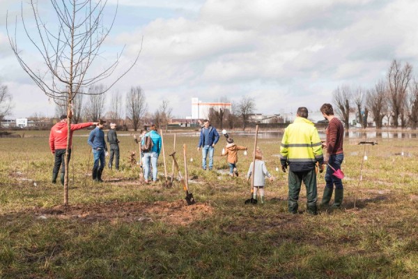 WSXX plant een bos