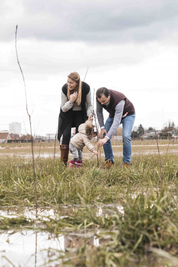 WSXX plant een bos