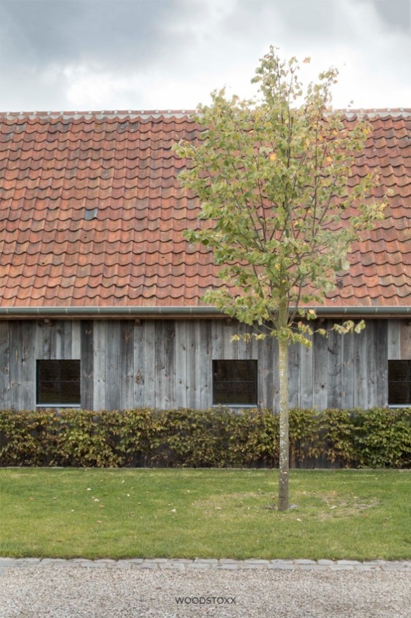 Facade cladding in barnwood