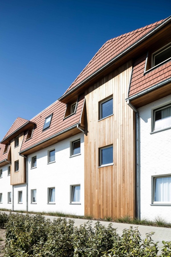 facade cladding cedar wood