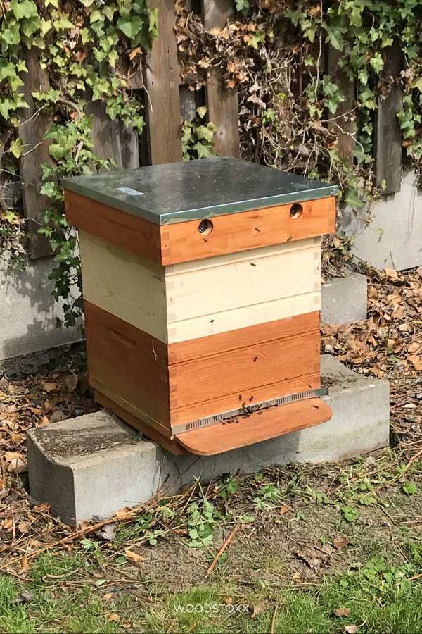 Honeybeez 1