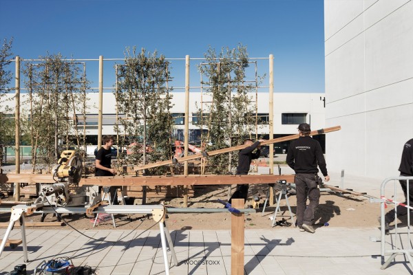 Revêtment de Façade Lamelles Bois de Pin Thermique