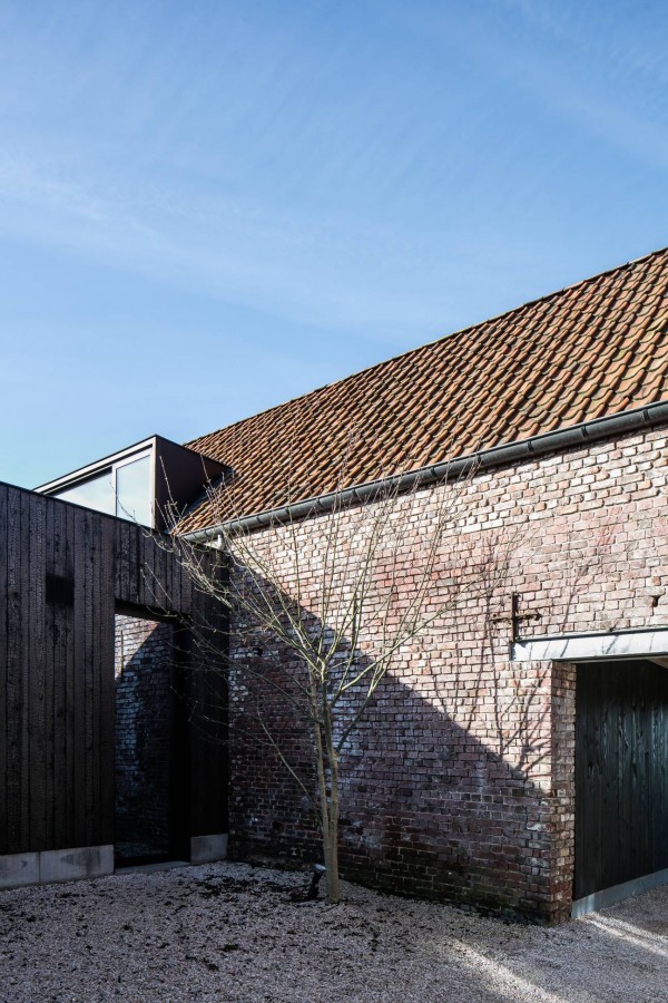 Facade Cladding Blackwood Naoshima