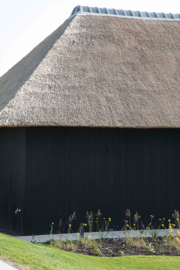 Unicus Poolhouse Thatched Roof