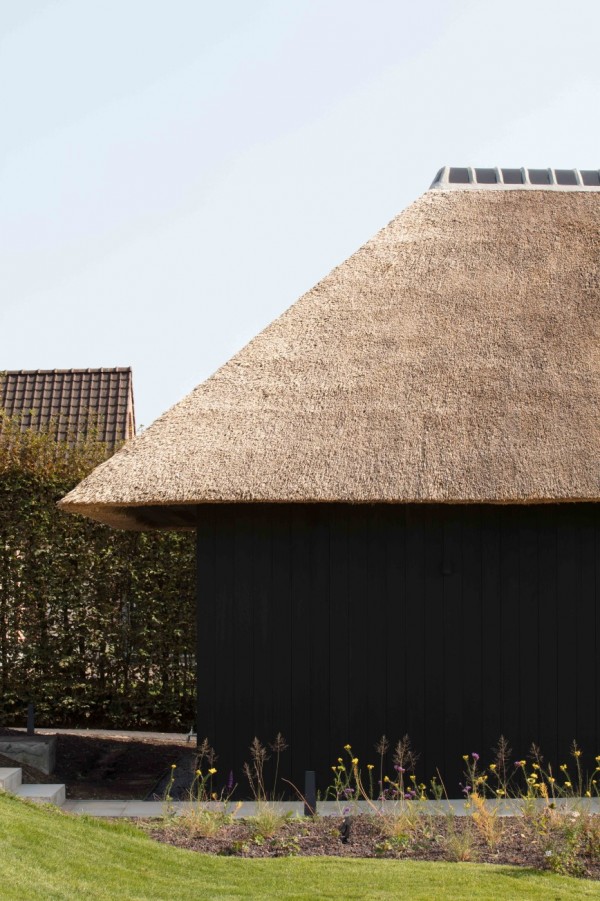 Unicus Poolhouse Thatched Roof