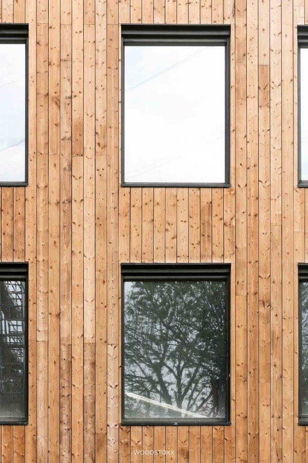 Façade Lining Thermal Pine