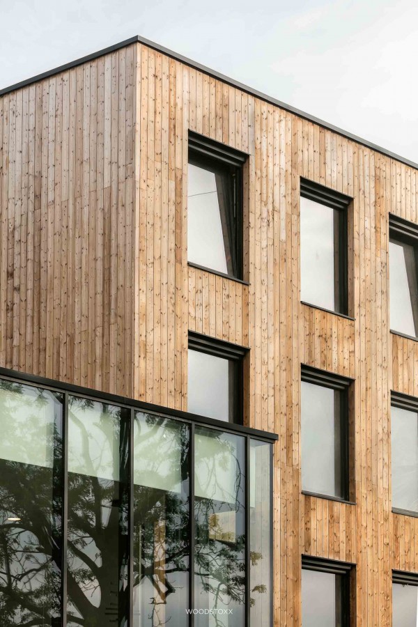 Façade Lining Thermal Pine