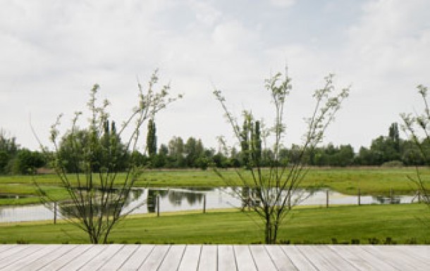 Terrasses en bois