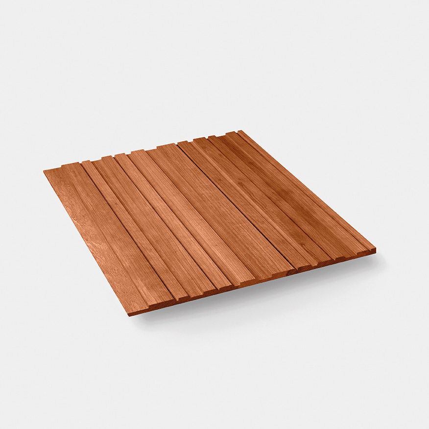 Limba_Unicus-Invisible