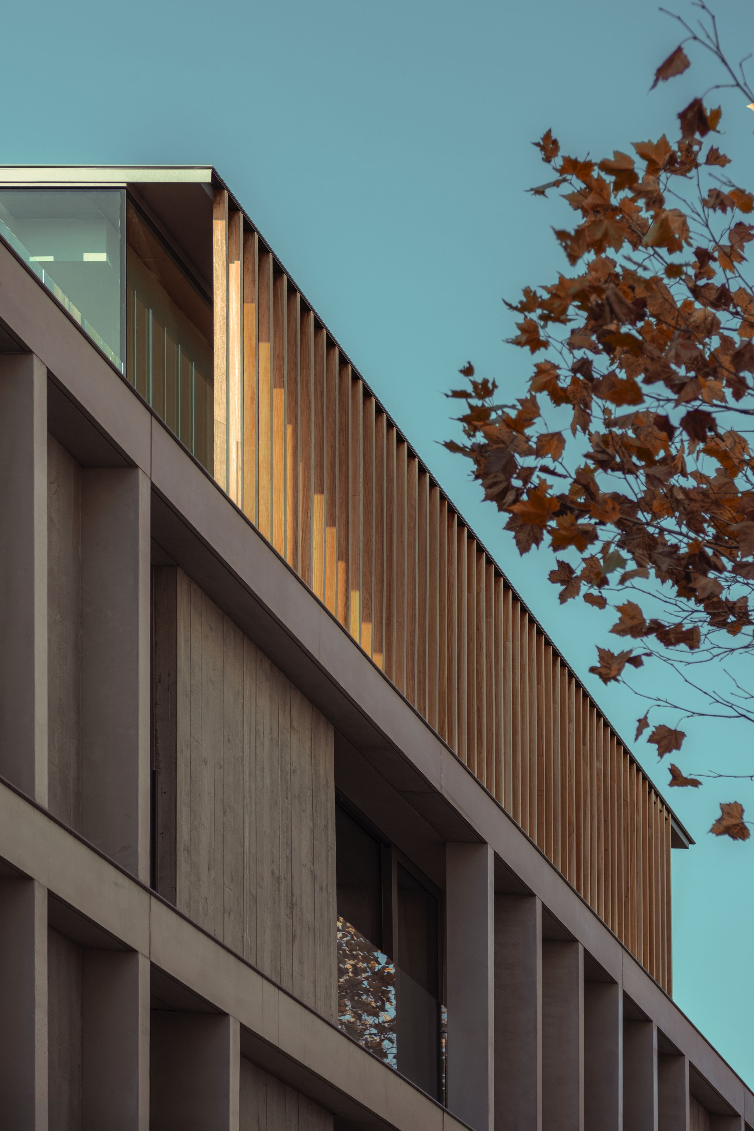 Fs Inlet On Cladding Cladding Fassade Abechi Plato + Beams Brut | G_FS_AB_Brut_1
