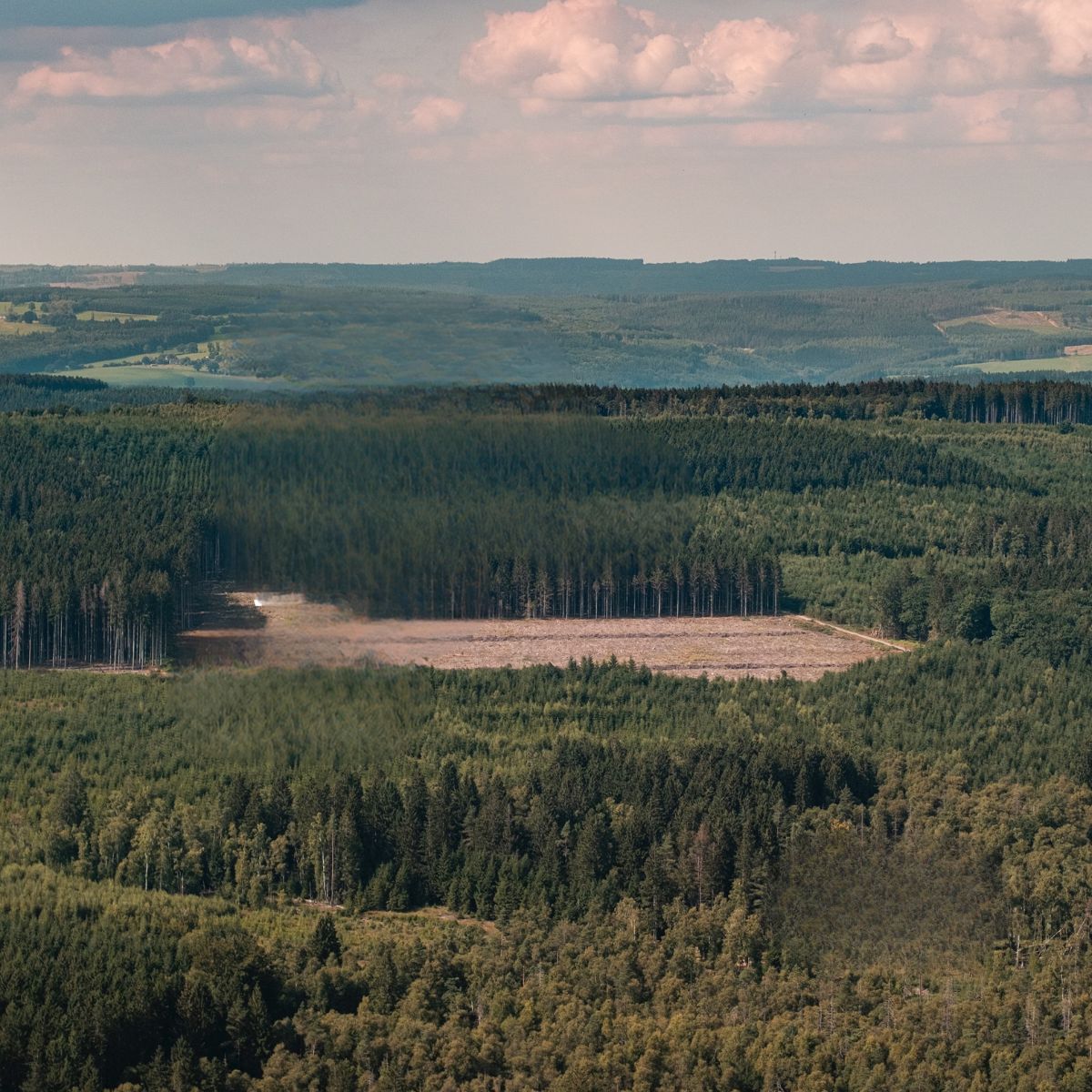 Living Lab Grensland: shaping the future with wood